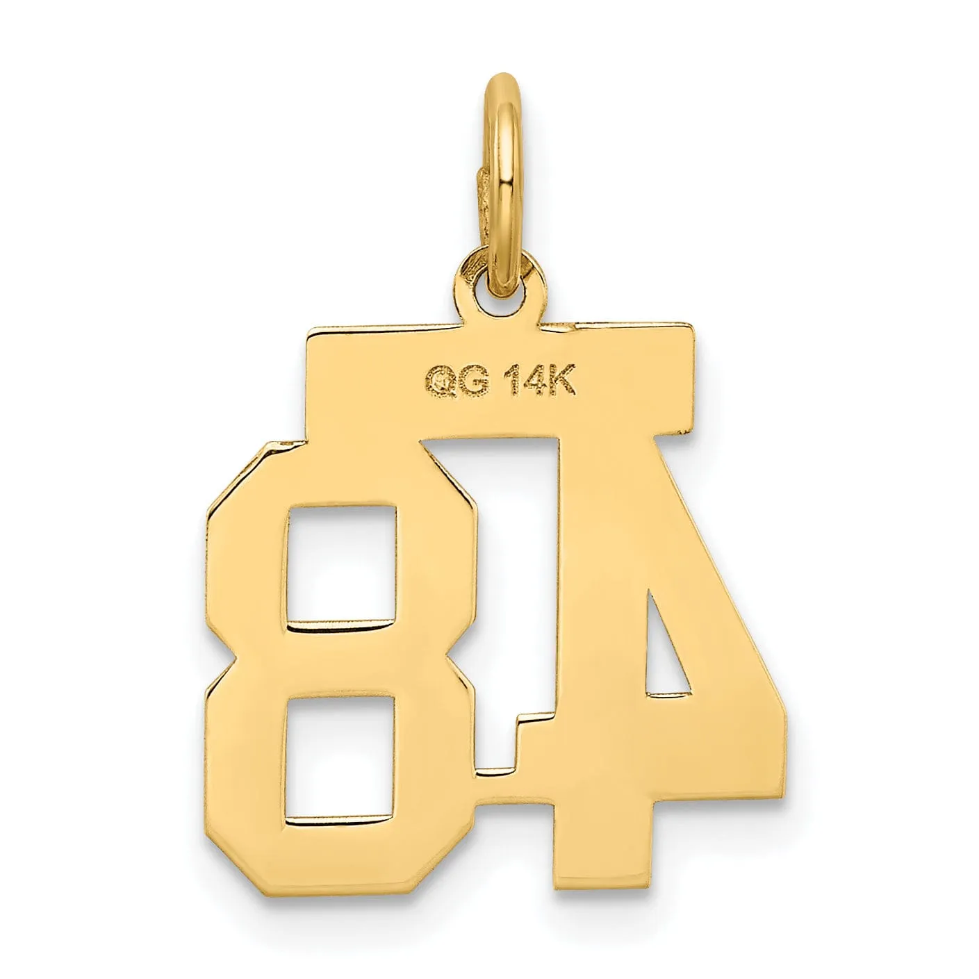14k Yellow Gold Satin Brush Finish Small Size Number 48 Charm Pendant