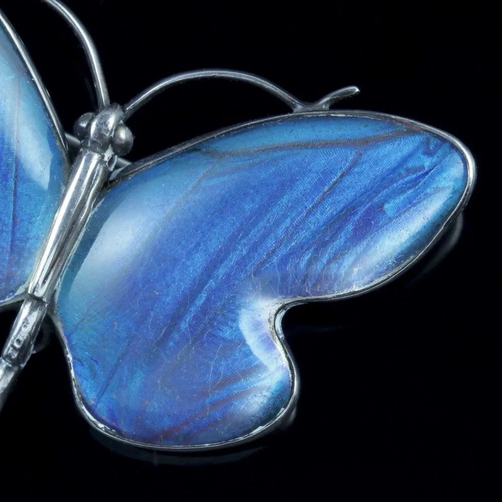 Antique Victorian Butterfly Winged Silver Butterfly Brooch Circa 1900