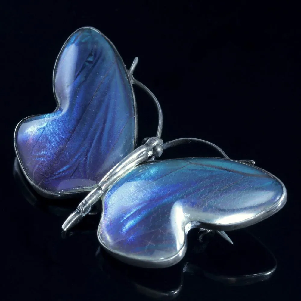 Antique Victorian Butterfly Winged Silver Butterfly Brooch Circa 1900