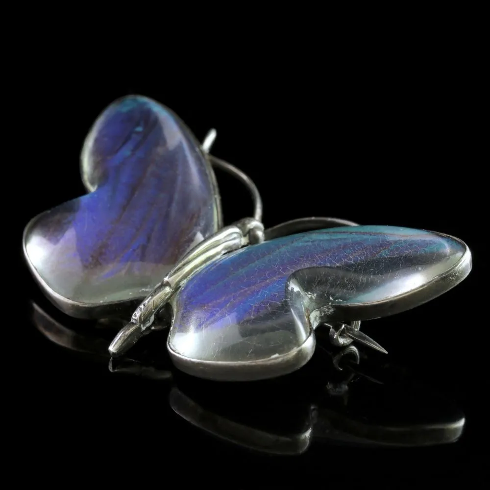 Antique Victorian Butterfly Winged Silver Butterfly Brooch Circa 1900