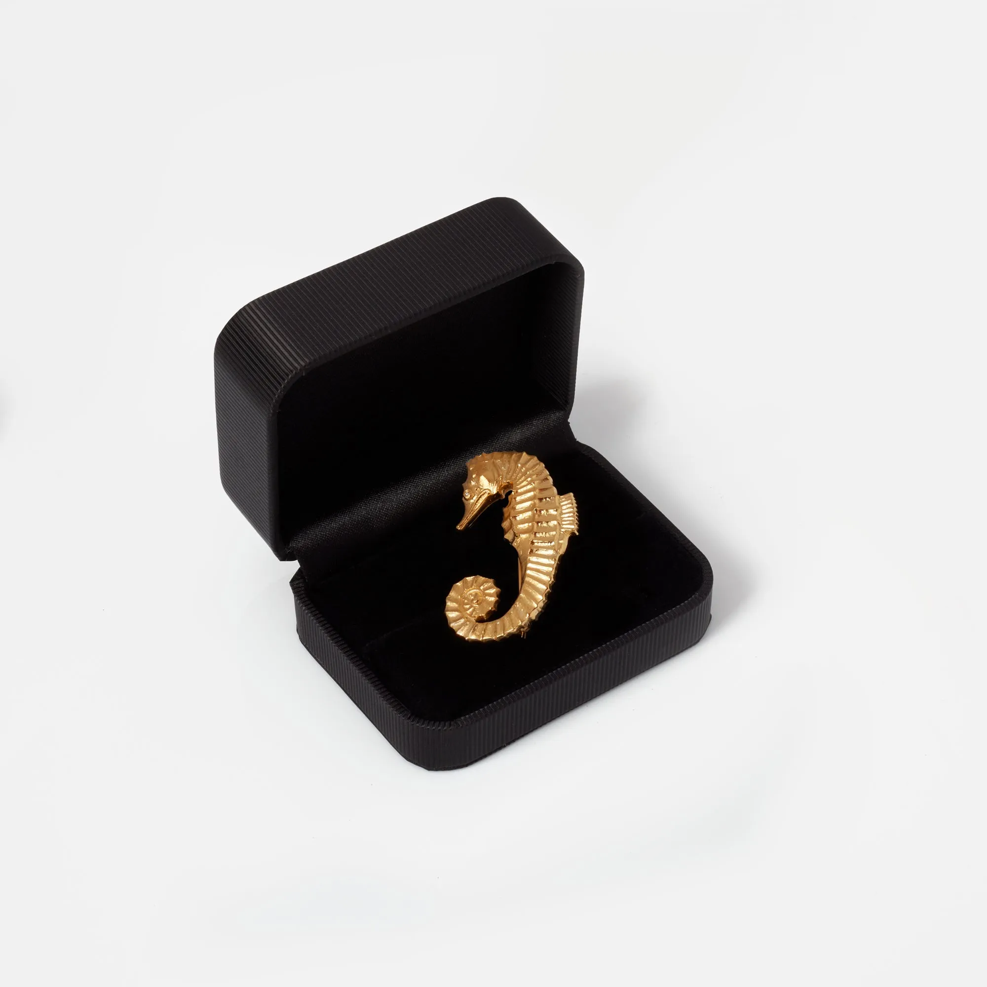 Seahorse Brooch